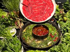 -巴蜀大将火锅(春熙店)