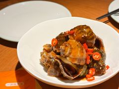 麻辣小波螺{海螺}-波螺油子·海肠捞饭·青岛菜(银座店)