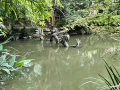 -汇龙潭