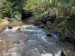 -红山村