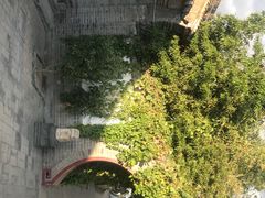 -王家大院