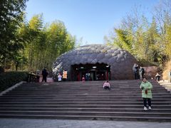 -中国西峡恐龙遗迹园
