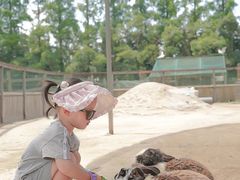 -前小桔亲子创意农场·草莓采摘·露营烧烤