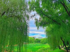 -三忘湖 SWANSEEN(柳荫公园店)