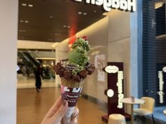 -哈根达斯(嘉里中心店)