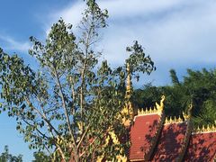 -西双版纳勐泐文化旅游区