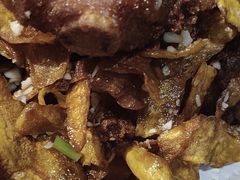-邵年鸽(杨庄店)