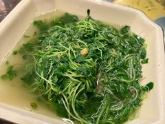 -清水湖度假村(罗浮山美食地标店)