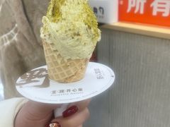 -野人先生现做冰淇淋(西安赛格店)