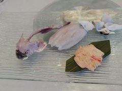-孔庆璞河豚馆(白玉兰酒店)