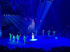 -珠海横琴长隆《卡卡虎奇遇记》