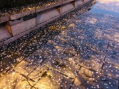 -金陵图书馆