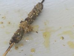 -巴依老爷新疆餐厅