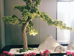 店内布置-荷栖小院·品质江西菜(红谷滩店)