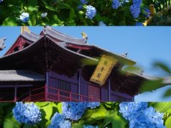 -达蓬山旅游度假区