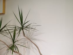 -杨丹国际美学肌研所