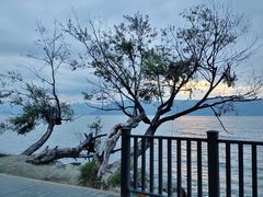 -大理洱海