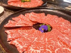 -辉哥火锅(虹桥路店)