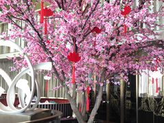 -金轩中餐厅 Jin Xuan(浦东丽思卡尔顿酒店)