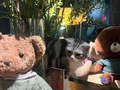 -咖法森林·咖啡  酒吧(天河店)