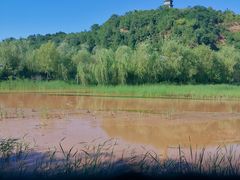 -渭南桃花源民俗文化园