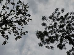 -文华公园(禅城区)