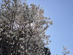 -雍和宫(地铁站)