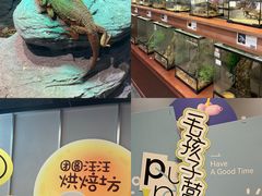 -帕帕拉兹宠物(亚洲旗舰店)