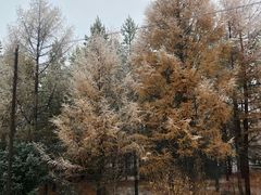 -塞罕坝国家级自然保护区