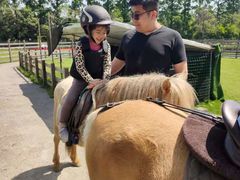 -前小桔亲子创意农场·草莓采摘·露营烧烤