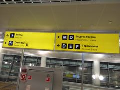 -谢列梅捷沃国际机场