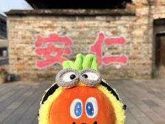 -安仁古镇