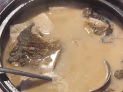 -鱼乐岛餐厅·户外花园主题餐厅