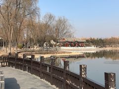 -西海子公园