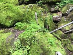 -茅兰沟国家森林公园