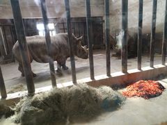 -石家庄市动物园
