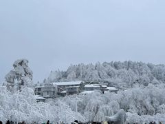 -望庐说·本地菜馆