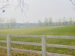 -北京群众马术培训基地