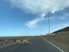 -青海湖国家重点风景名胜区