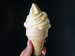 -麦当劳(塔园路店)