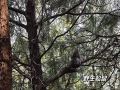 -佛慧山