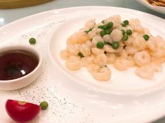 清炒河虾仁-星晨酒店(五角场店)