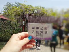 -嘉定紫藤园