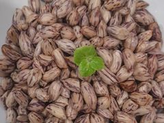 -香山湖渔家大院