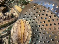 鲍鱼-钱库里海鲜自助(星海广场店)