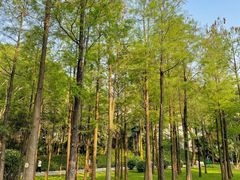 -晓港公园