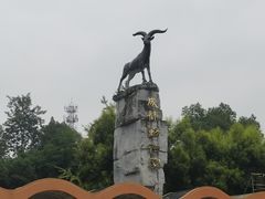 -成都动物园