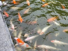 -水濂山森林公园