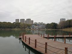 -新洲生态园