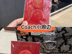 -COACH蔻驰(双安商场店)